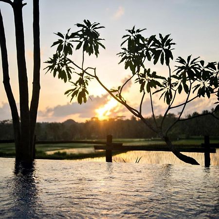 Omah Apik Hotel Ubud  Luaran gambar