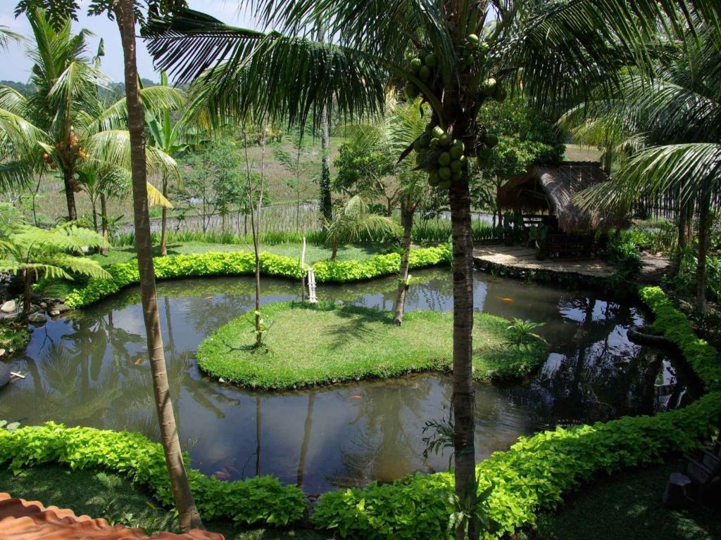 Omah Apik Hotel Ubud  Luaran gambar