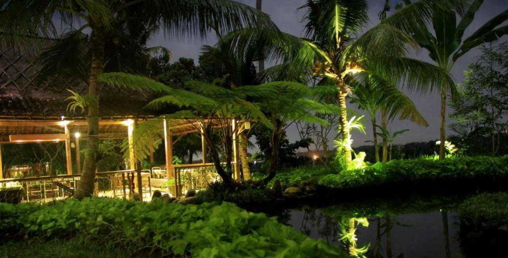Omah Apik Hotel Ubud  Luaran gambar
