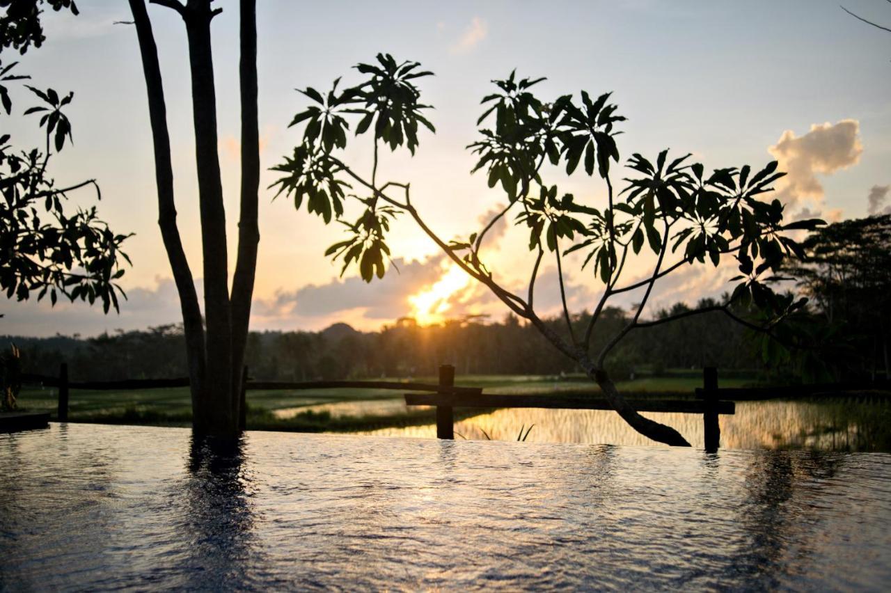 Omah Apik Hotel Ubud  Luaran gambar