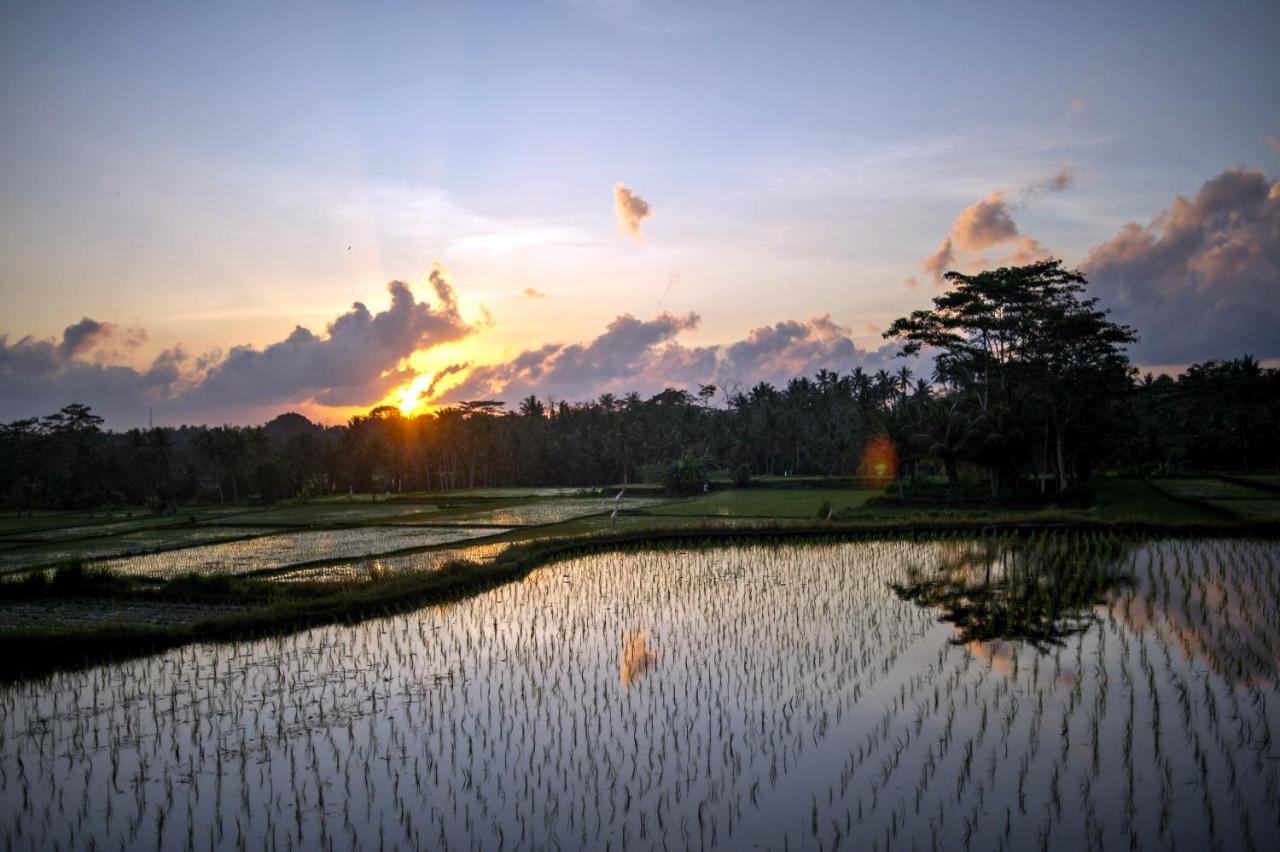 Omah Apik Hotel Ubud  Luaran gambar